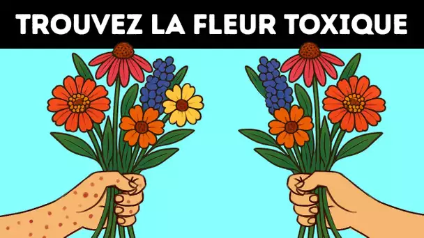 16 Énigmes Qui Vous Entraîneront Dans Un Tourbillon De Détails Cachés