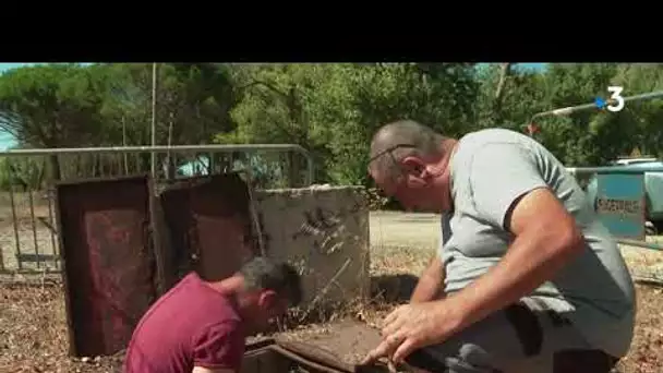 Portiragnes, dans l'Hérault, bonne élève des économies d'eau