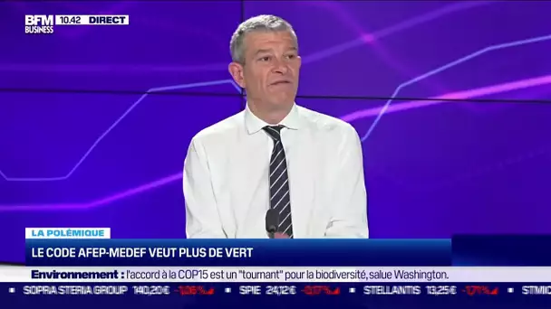 Nicolas Doze : Le code Afep-Medef veut plus de vert