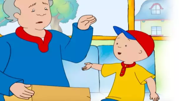 Caillou et le Paquet Mystérieux | Caillou en Français