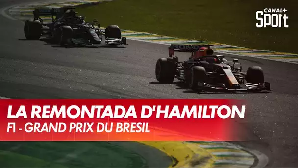 Lewis Hamilton, le week-end de la remontada - GP du Brésil