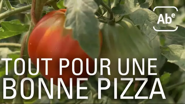 Le bonheur est dans la tomate. ABE-RTS