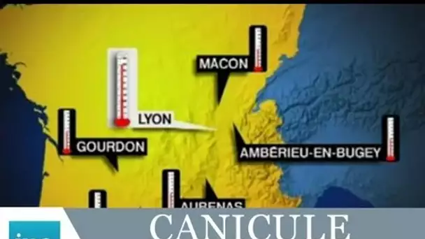 Été 2003 Canicule sur la France, records de chaleur | Archive INA