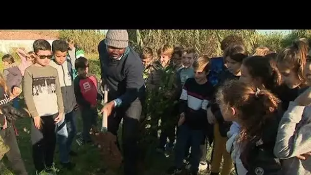 Opération de plantation en Occitanie par l'association "un million d'arbres"