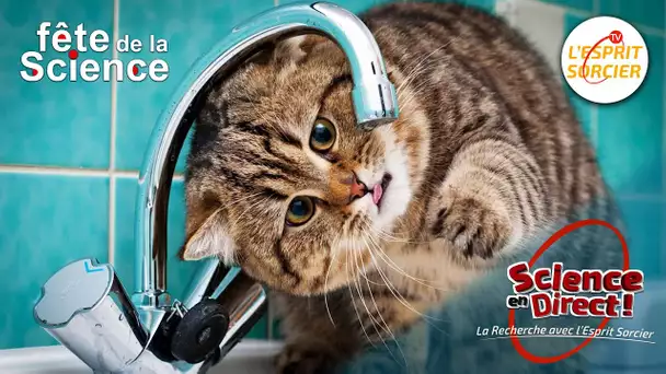 L'eau sera-t-elle bientôt une denrée rare ? - Science En Direct 2022