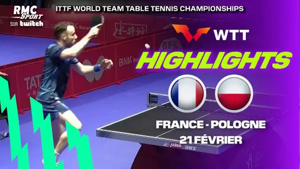Tennis de table : Les frères Lebrun et Gauzy régalent contre la Pologne, les highlights