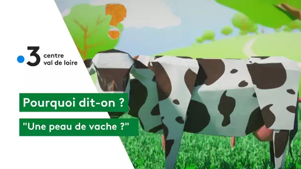 Pourquoi dit-on : une peau de vache ?