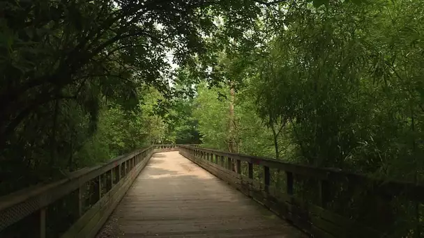 Confinement : Nantes, balade sur les bords de l'Erdre