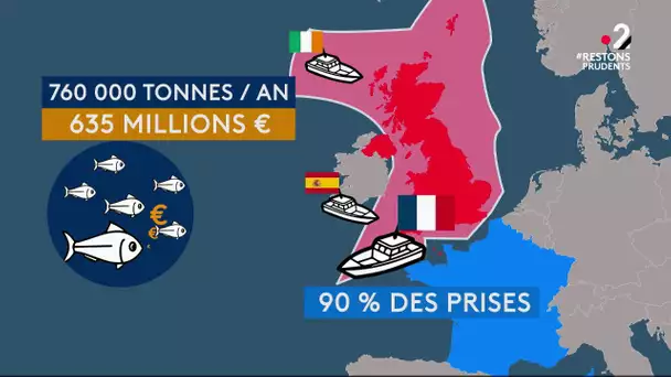 Cartes sur table : Pêche en Europe, une guerre de territoires