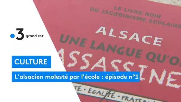 L'alsacien molesté par l'école : épisode n°1