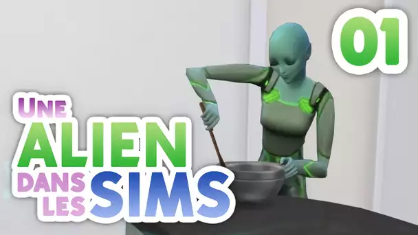 Une Alien dans les Sims #01 - Le retour de Don !