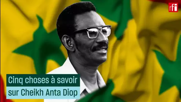 Cheikh Anta Diop : cinq choses à savoir • RFI