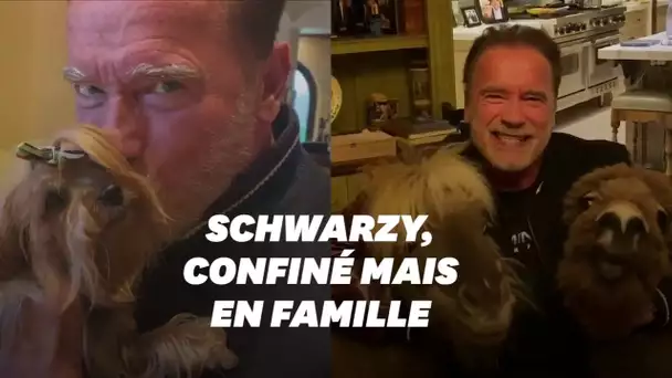 Arnold Schwarzenegger prodigue des conseils contre le coronavirus... en bonne compagnie