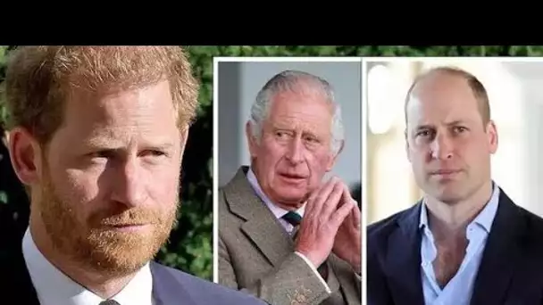 Un sondage montre que plus de la moitié des Britanniques ne veulent pas que Charles et William se ré