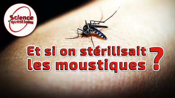 Et si on stérilisait les moustiques ? - Science En Questions