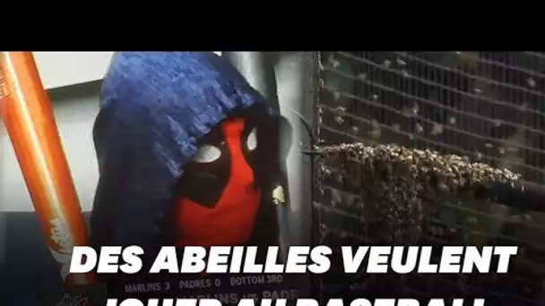 Un match de baseball par une invasion d'abeilles