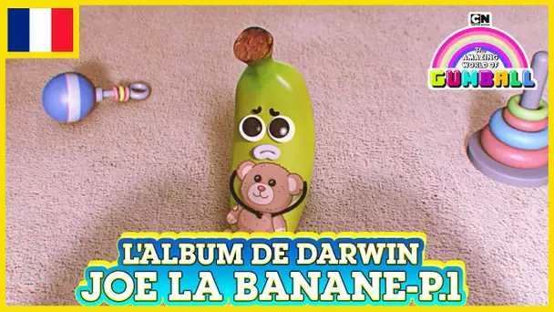 L'album de Darwin 🇫🇷 | Joe la Banane, Partie 1