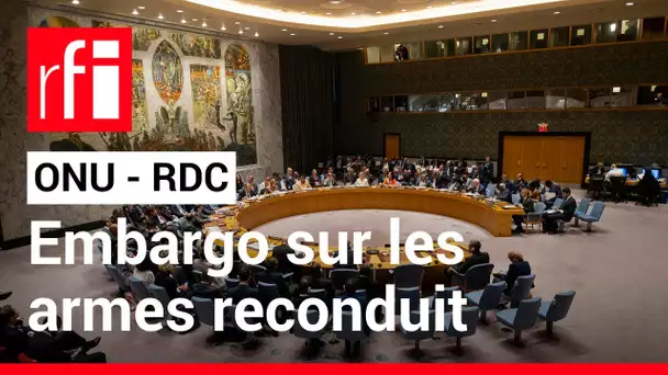RDC : que dit la résolution du conseil de sécurité de l’ONU sur les armes ? • RFI