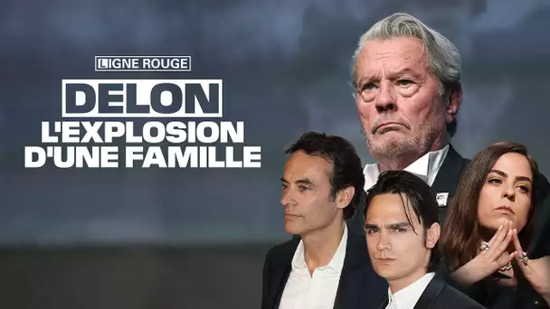 Delon, l'explosion d'une famille