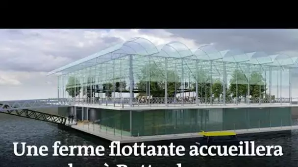 La première ferme flottante s’installe à Rotterdam