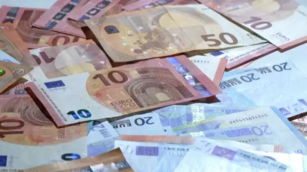 Oiseaux, fleuves… à quoi ressembleront les prochains billets d'euros ?