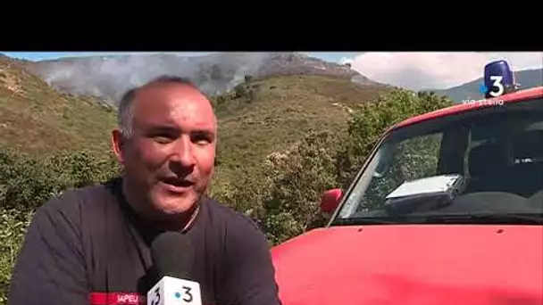 Castellu-di-Rustinu : 10 hectares de végétation ravagés par les flammes