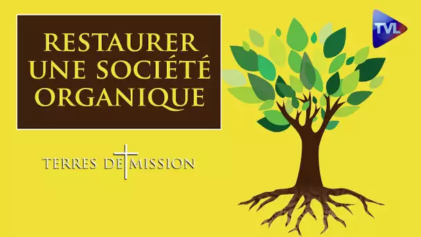 Restaurer une société organique - Terres de Mission n°161 - TVL