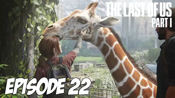 The Last of Us Part I - Printemps | Episode 22 | 4K 60