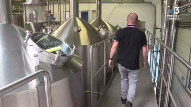 Vendée : La mélusine reprend le brassage de sa bière aux Herbiers