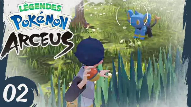 PREMIERES CAPTURES ! - LÉGENDES POKÉMON ARCEUS #02 - Let's Play FR