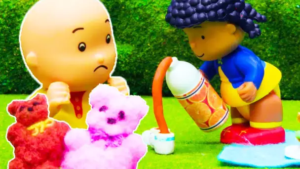 Caillou en Français | Caillou et  le Pique-nique avec des Ours en Peluche | dessin animé en entier