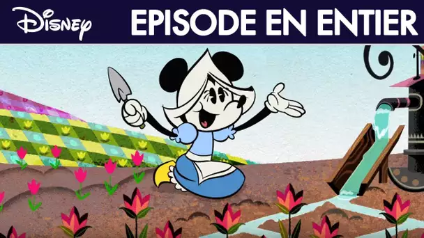 Mickey Mouse : Des tulipes pour Minnie - Épisode intégral - Exclusivité Disney I Disney