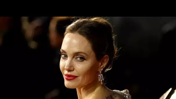 Angelina Jolie : Elle pose avec le corps recouvert d’abeilles pour alerter sur leur...