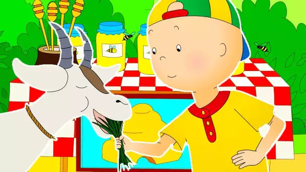 Caillou en Français | Caillou va à la Ferme | dessin animé en entier | NOUVEL ÉPISODE 2017