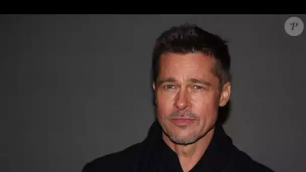 Brad Pitt en fâcheuse posture : une artiste française reconnue, au RSA à cause de lui... ça ne pas