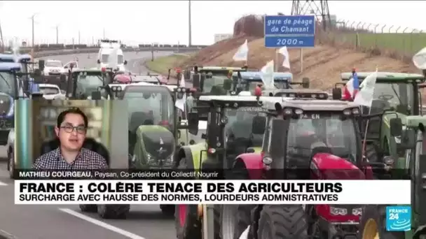 Colère des agriculteurs : "C'est une crise du système agricole et alimentaire" • FRANCE 24