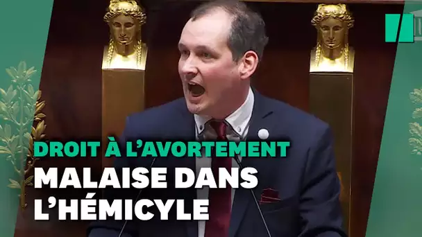 Ce député AFD jette un froid à l'Assemblée nationale avec cette remarque sur l'avortement