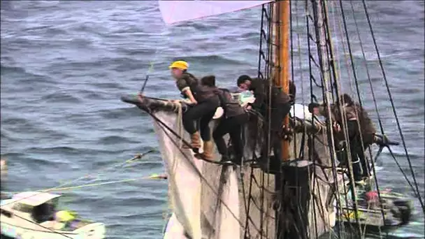 L&#039;arrivée de l&#039;Hermione, frégate de La Fayette, en rade de Brest