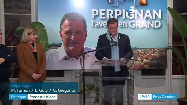 Municipales 2020 à Perpignan : un faux sondage tente-t-il d'influencer l'élection ?
