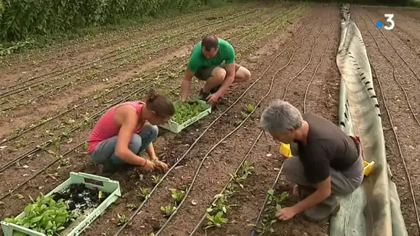 Inondations de l'Aude : 23 maraîchers et horticulteurs sinistrés aidés par la Fondation de France