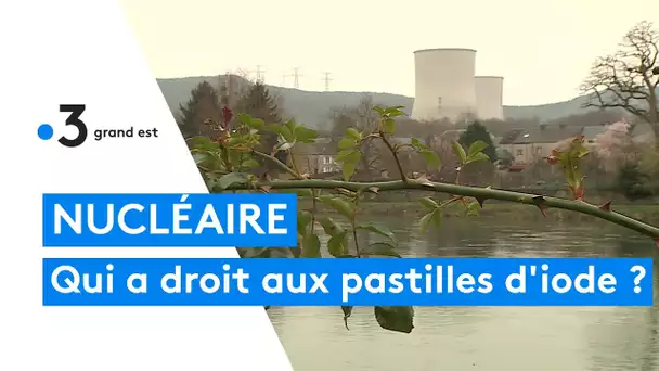 Santé : qui à le droit de retirer des pastilles d’iode en pharmacie ?