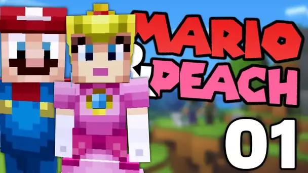 MARIO ET PEACH EN VACANCES EPISODE 1 | ARRIVÉE SUR L’ÎLE CHAMPIGNON