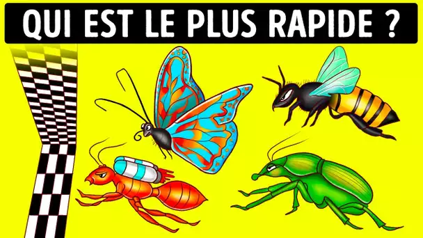 Qui est l'insecte le plus rapide et d'autres faits amusants ?