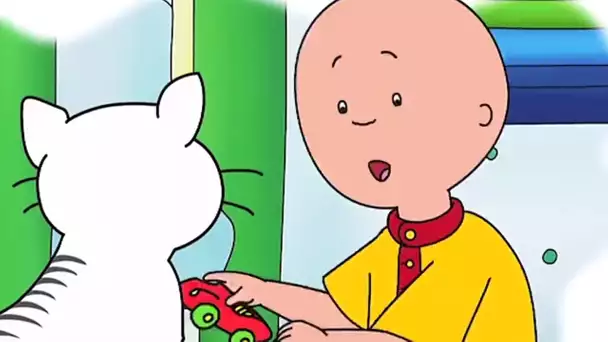 Caillou et le Chat | Caillou en Français