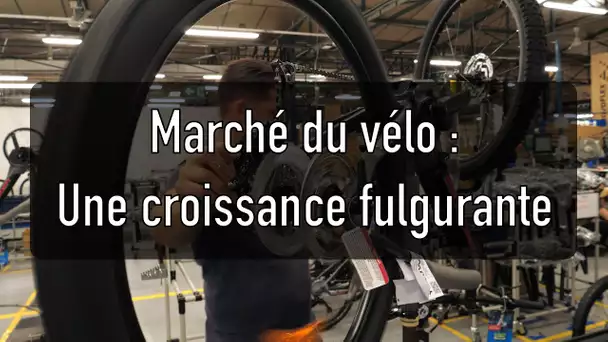 La belle croissance du vélo en France montre aussi des failles en période tendue.