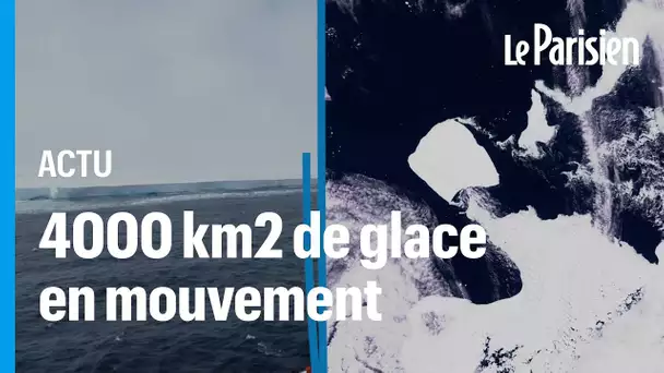 Après plus de 30 ans sans bouger, le plus gros iceberg du monde est à la dérive