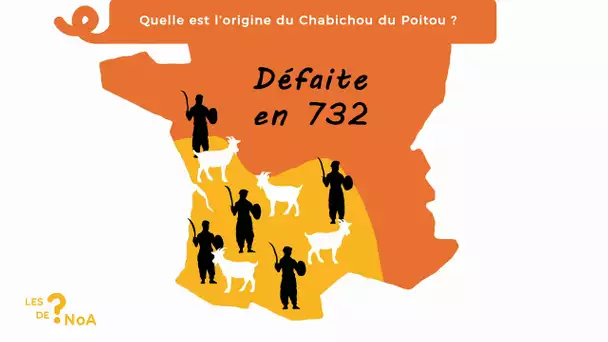 Les ? de Noa #38 : quelle est l'origine du Chabichou du Poitou ?