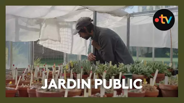 Jardin Public [bande-annonce]
