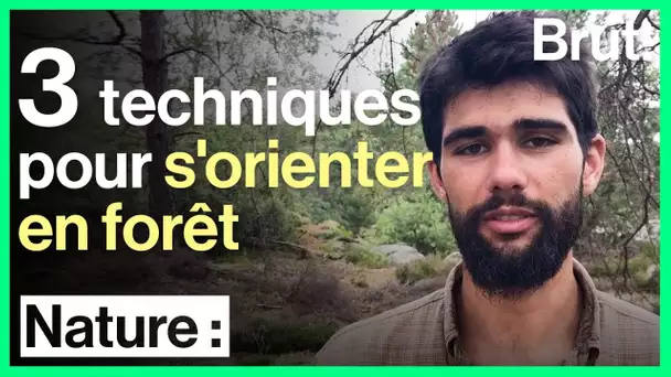 Tuto : 3 techniques pour s'orienter en forêt