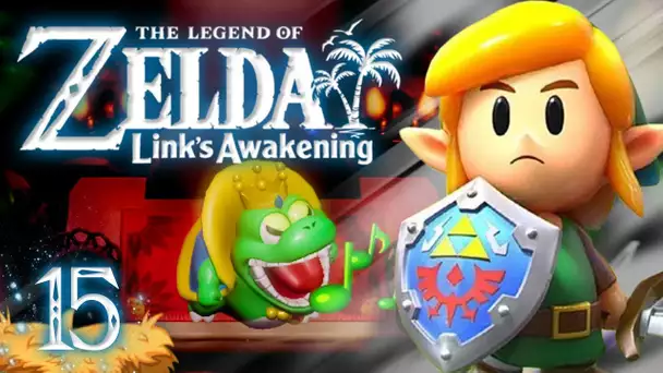 Zelda Link's Awakening HD : Ressuscitons les morts ! #15